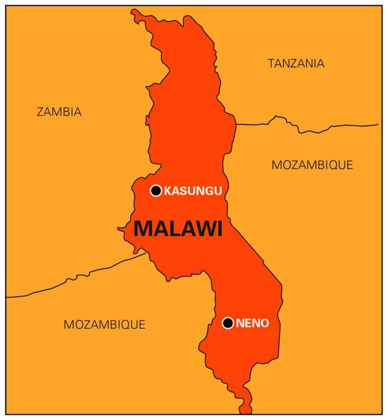 Malawi : un test respiratoire suffirait pour dépister le paludisme