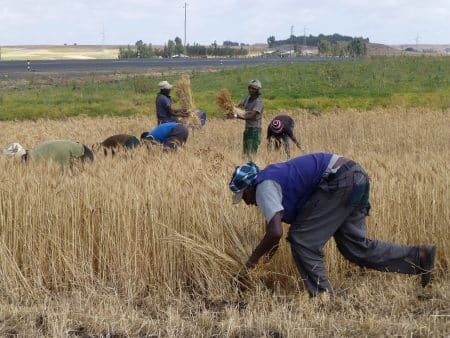 L’Éthiopie dépasse le Kenya en tant que géant économique de l’Afrique de l’Est
