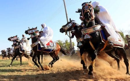 Les Libyens se réfugient dans les courses de chevaux pour échapper au chaos dans le pays