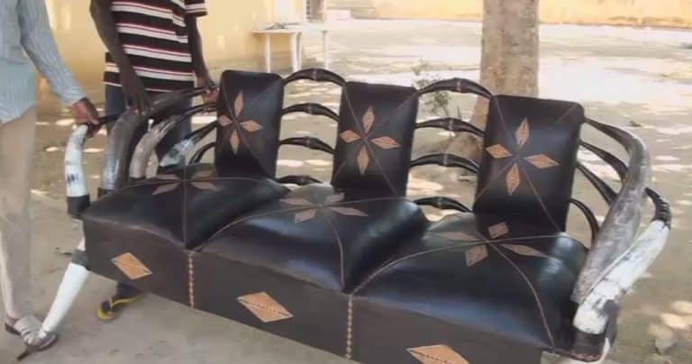 Un artisan camerounais fabrique des chaises à partir de cornes de bovin