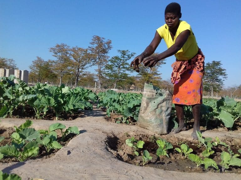 Pour la Grande-Bretagne, le Zimbabwe devrait poursuivre sa réforme agraire équitable