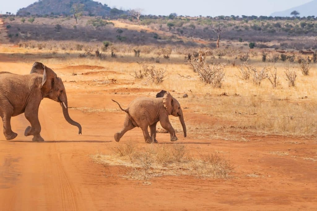 Que signifie le changement climatique pour la sécurité en Afrique ?