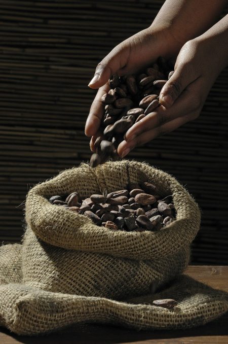 Hausse du prix du cacao : la Côte d’Ivoire fait progresser la lutte contre le travail des enfants
