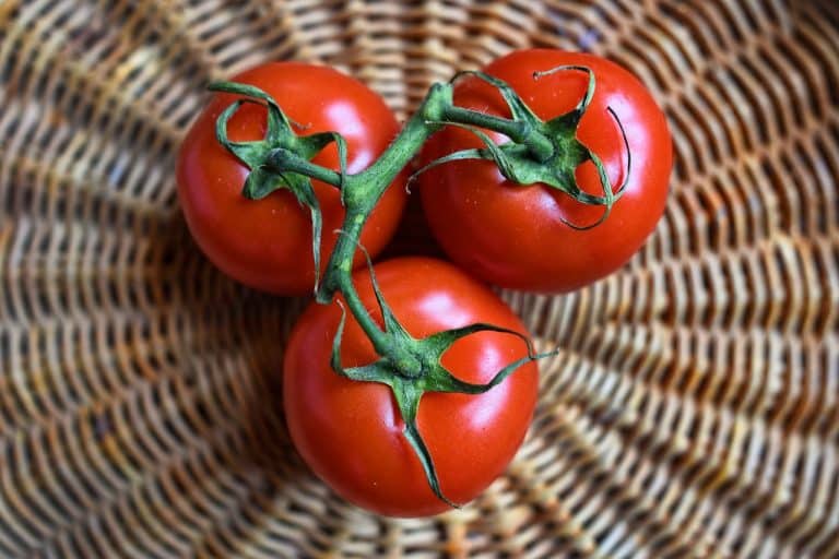 Les prix de la tomate chutent en Mauritanie après la reprise du trafic à Guerguerat