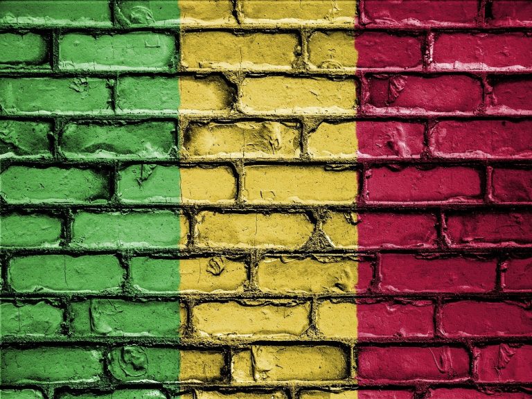 Soumaïla Cissé ou Aliou Diallo : la présidentielle malienne devrait se jouer à deux !