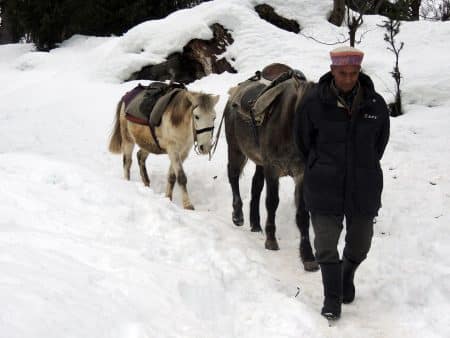 L’armée marocaine se mobilise pour aider les populations éloignées en hiver