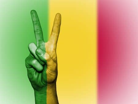 Mali : Aliou Diallo en phase avec le gouvernement à Kayes