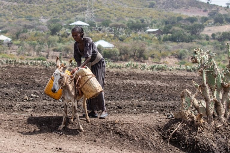 Bill Gates devrait arrêter de dire aux Africains de quel type d’agriculture ils ont besoin