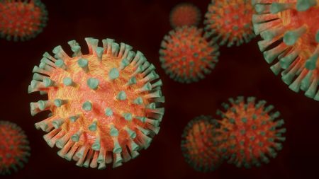 Une nouvelle variante du Covid détectée en Afrique du Sud