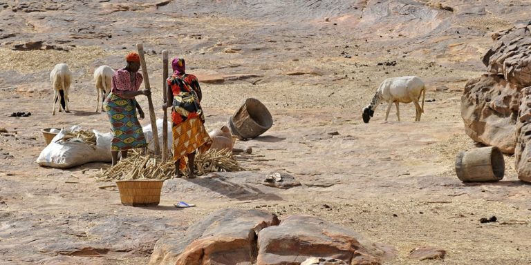 Massacre de Bankass (Mali) : « un horrible crime causé par des barbares » (Aliou Diallo)