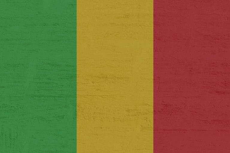 Au Mali, Aliou Diallo redéfinit la souveraineté