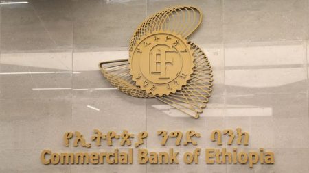 La Banque d'Éthiopie parvient à récupérer la majeure partie des fonds perdus suite à une défaillance système