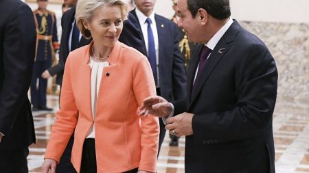 L'Union Européenne envisage d'accélérer une partie de son aide financière vers l'Égypte