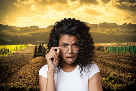 Bénin : ces révélations surprenantes des agriculteurs de l'Ouémé après cette découverte