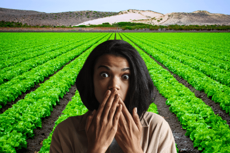 Révolution agricole en Afrique : cette start-up veut investir des millions de dollars