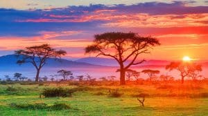 Ce désert du Botswana, berceau oublié : l'humanité moderne a émergé ici il y a 200 000 ans