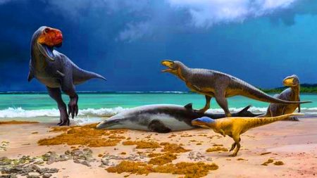 Ces cousins marocains du T. rex mesuraient jusqu&rsquo;à 8 mètres : une diversité étonnante avant l&rsquo;astéroïde destructeur