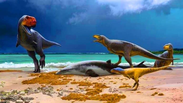 Ces redoutables cousins marocains du T. rex, hauts de 8 mètres, régnaient avant l’astéroïde fatal