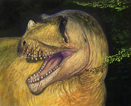 Cette découverte bouleverse l&rsquo;histoire : un dinosaure de 10 mètres ressuscité grâce à des photos oubliées depuis 80 ans