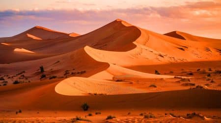 Cette dune marocaine de 13 000 ans dévoile ses secrets : un spectacle naturel de 5,5 millions de tonnes de sable en mouvement Cette dune marocaine de 13 000 ans dévoile ses secrets : un spectacle naturel de 5,5 millions de tonnes de sable en mouvement