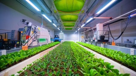 La Chine transforme le CO2 en protéines pour nourrir 582 millions d'humains d'ici 2050 : une révolution alimentaire en marche