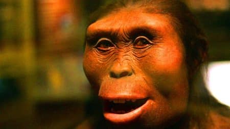 Lucy l&rsquo;Australopithèque : à 4,97 m/s, cette ancêtre surprend en courant il y a 3 millions d&rsquo;années