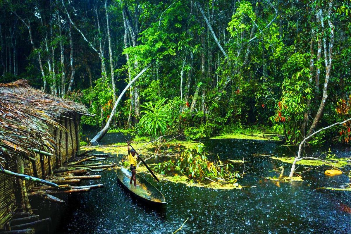 « 129 millions d&rsquo;hectares, soit 2,5 fois la France : cet immense projet de reforestation en Afrique cache une désillusion »