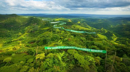 Ce corridor vert de 54 000 km² va-t-il sauver la RDC ou sacrifier ses communautés ? Les enjeux dévoilés