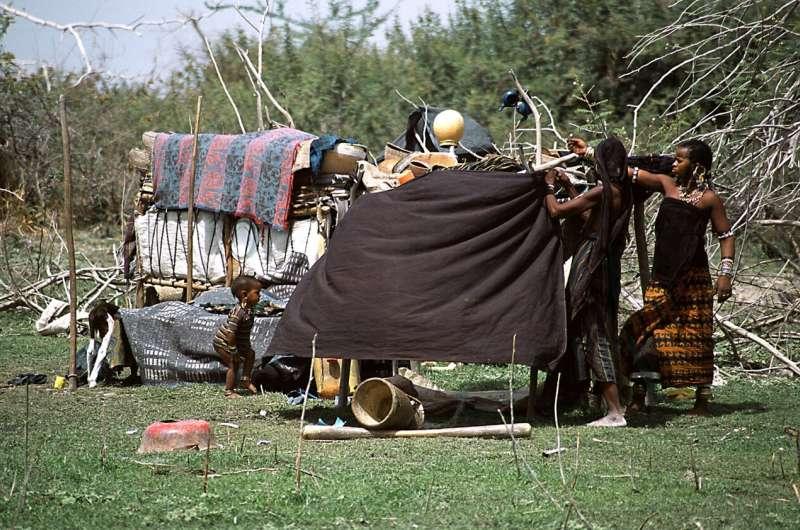 Une recherche récente dévoile les origines de la plus importante communauté pastorale du continent africain