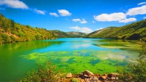 Ces 1956 lacs mondiaux virent au vert : une explosion d’algues multipliée par 4 depuis 2016 inquiète les scientifiques