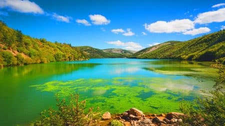 Ces 1956 lacs mondiaux virent au vert : une explosion d’algues multipliée par 4 depuis 2016 inquiète les scientifiques