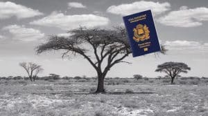 La Namibie ferme ses portes : 67 000 Français perdent l'accès sans visa, un bouleversement inédit pour le tourisme africain