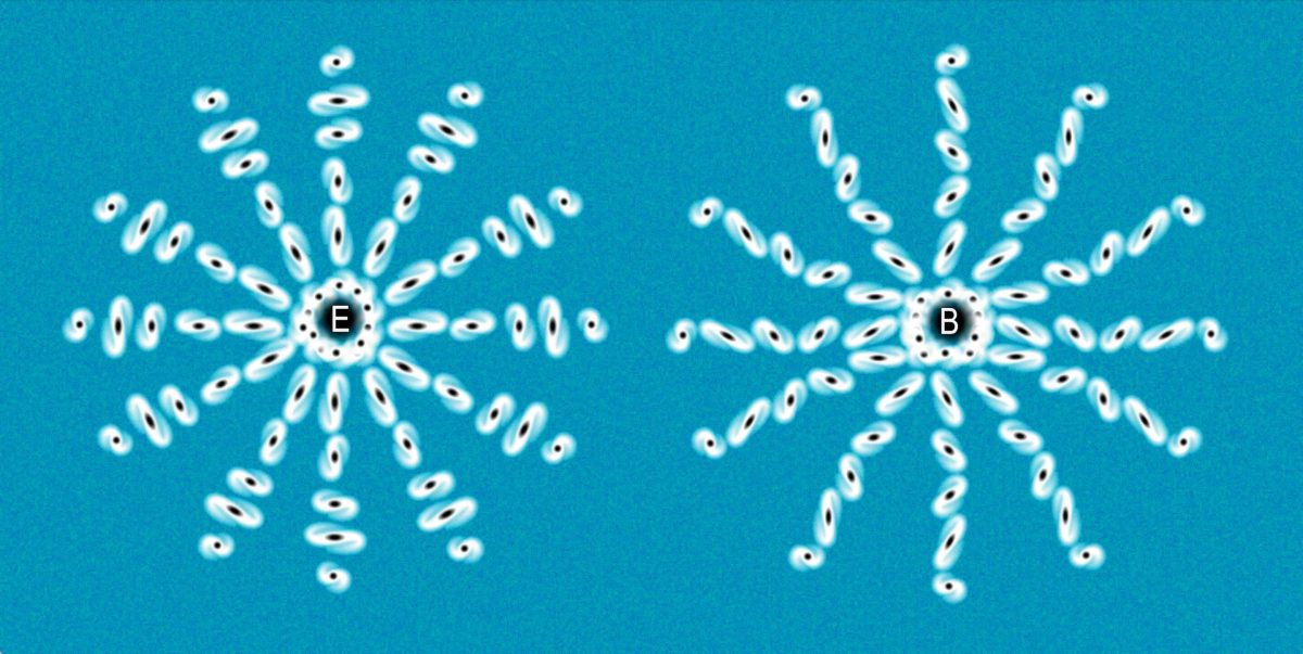 L&rsquo;univers révèle-t-il ses secrets ? Euclid et la lumière cosmique défient 13,8 milliards d&rsquo;années d&rsquo;homogénéité