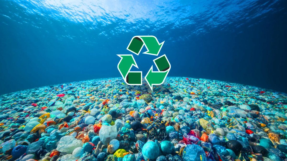 4,6 millions de baleines bleues de plastique : cette avancée historique permet de recycler 94% de ce fléau océanique