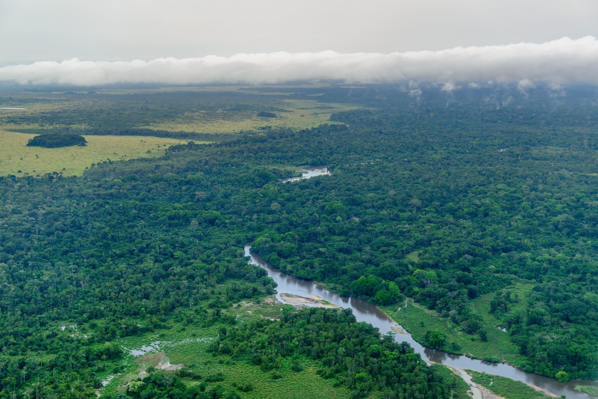 Région du bassin du Congo