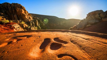 « Des empreintes de 140 millions d'années » : cette découverte préhistorique en Afrique du Sud bouleverse la science