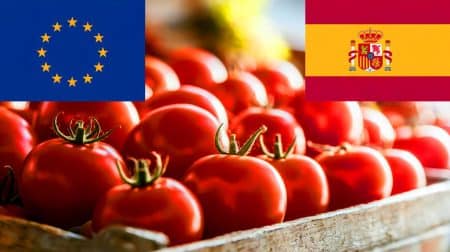 « La bataille des tomates s'intensifie » : l'UE balaye les accusations espagnoles de fraude fiscale marocaine