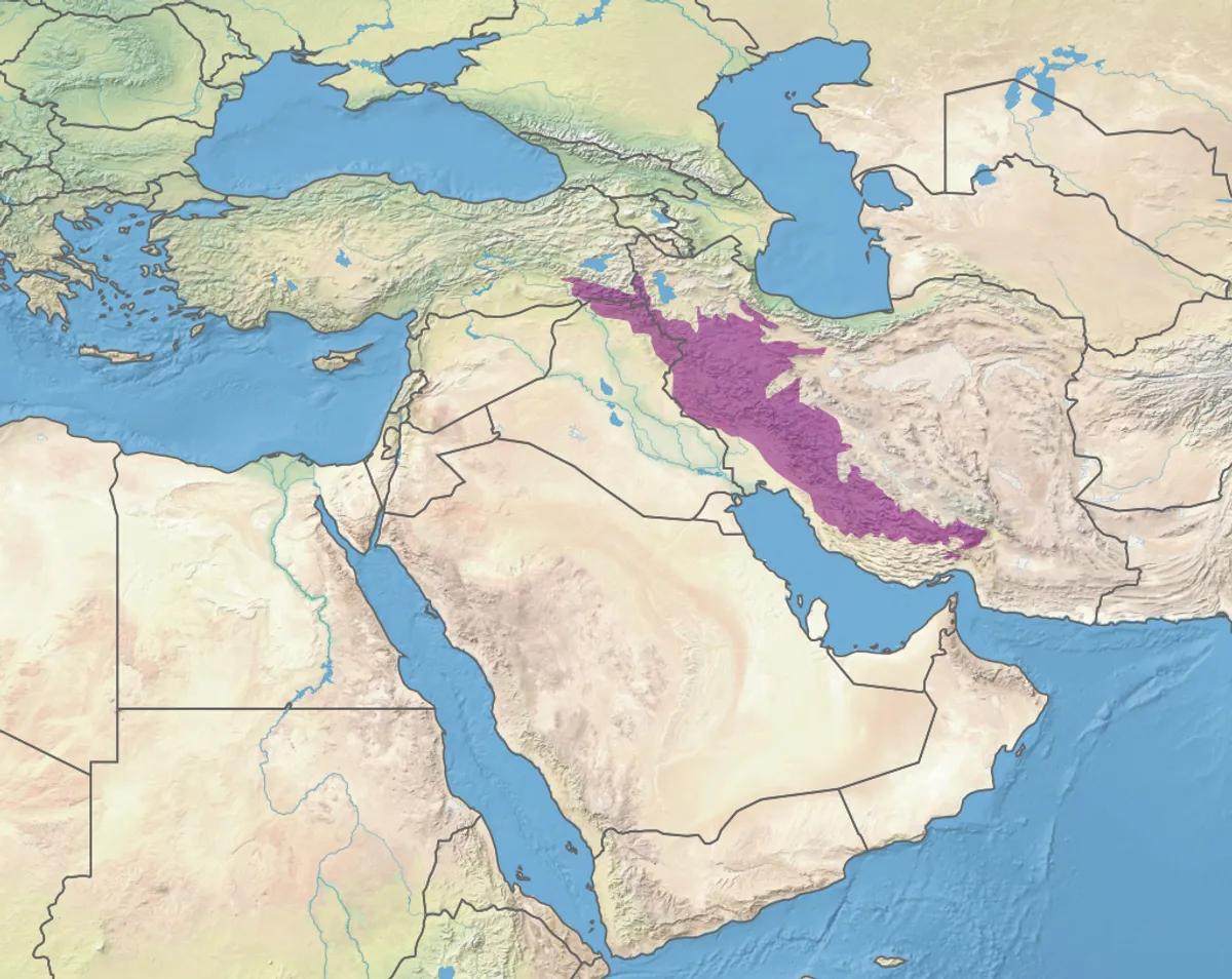 Région iranienne et Homo sapiens