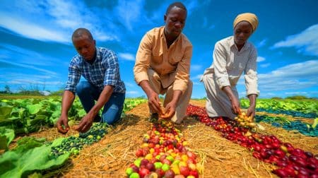 « Un tournant historique pour l’alimentation en Afrique » : cette initiative promet une diversité alimentaire sans précédent « Un tournant historique pour l'alimentation en Afrique » : cette initiative promet une diversité alimentaire sans précédent