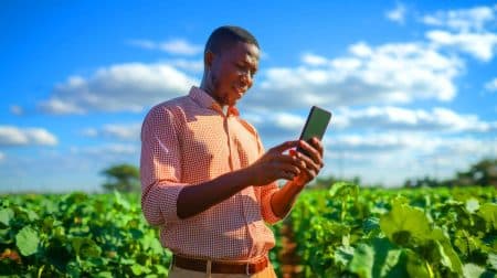 Une révolution agricole sans précédent : l'IA sauve des millions de fermiers africains de la ruine !