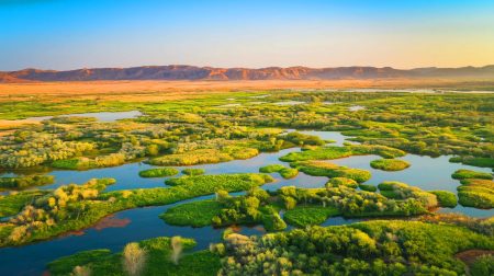 8 millions d'années de 'Green Arabia' : la découverte stupéfiante qui bouleverse notre perception climatique et historique
