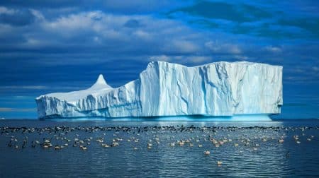 « Catastrophe imminente en Atlantique Sud » : l'iceberg gigantesque A23a se dirige à toute vitesse vers cette île, menaçant des millions d'animaux marins