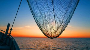 Ces poissons en disparition : comment la surpêche dévastatrice réduit ces pêches côtières à leur plus bas niveau historique