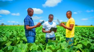 Révolution agricole au Rwanda : l'innovation technologique d'une startup bouleverse le destin de millions de fermiers et défie tous les pronostics