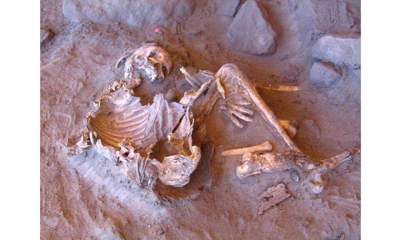 Découverte des premiers génomes anciens du Sahara vert