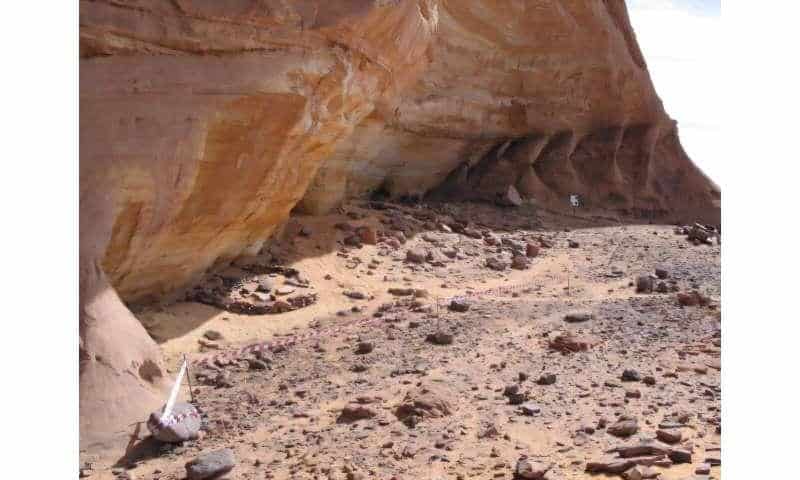 Analyse des premiers génomes anciens provenant du Sahara vert