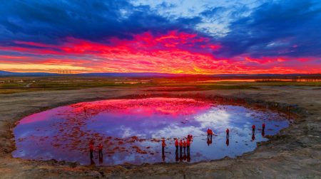 Une marée noire sous Paris : l’explosion souterraine libère des millions de litres de pétrole brut, TotalEnergies sur le pied de guerre