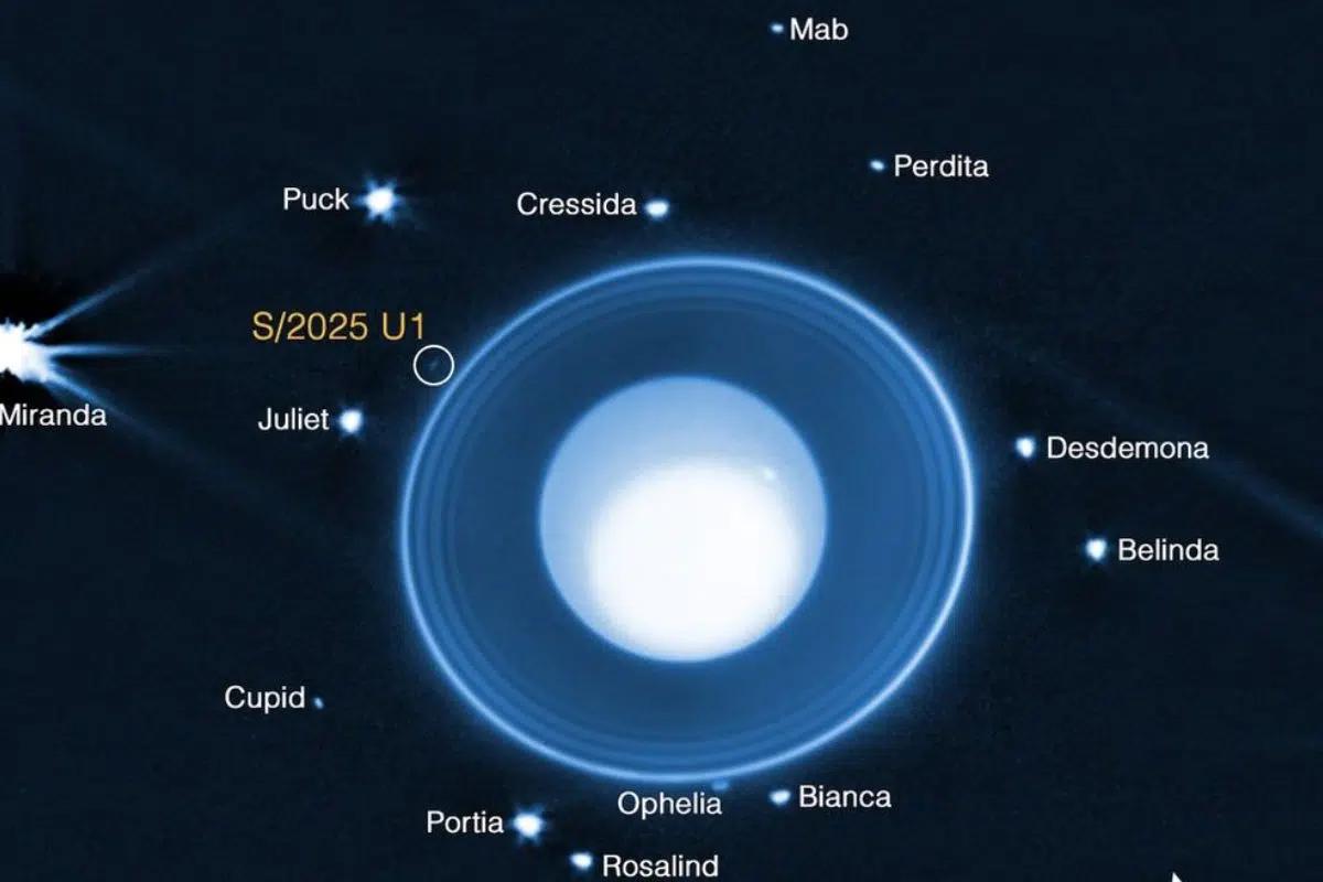 Des scientifiques, utilisant le télescope spatial James Webb de la NASA, ont identifié une nouvelle lune en orbite autour d’Uranus grâce aux images capturées par la caméra infrarouge de Webb (NIRCam). Cette image révèle la lune, nommée S/2025 U1, ainsi que 13 des 28 autres satellites connus de la planète. (La petite lune Cordelia, bien qu'en orbite juste à l'intérieur de l'anneau le plus externe, est absente de ces vues en raison de la lumière intense des anneaux.) En raison des variations spectaculaires de luminosité, l'image est une combinaison de trois traitements distincts des données, permettant d'observer les détails de l'atmosphère de la planète, des anneaux et des lunes en orbite. Les données ont été collectées avec le filtre large bande F150W2 de la NIRCam, transmettant des longueurs d’onde infrarouges d’environ 1,0 à 2,4 microns. NASA, ESA, CSA, STScI, M. El Moutamid (SwRI), M. Hedman (University of Idaho)