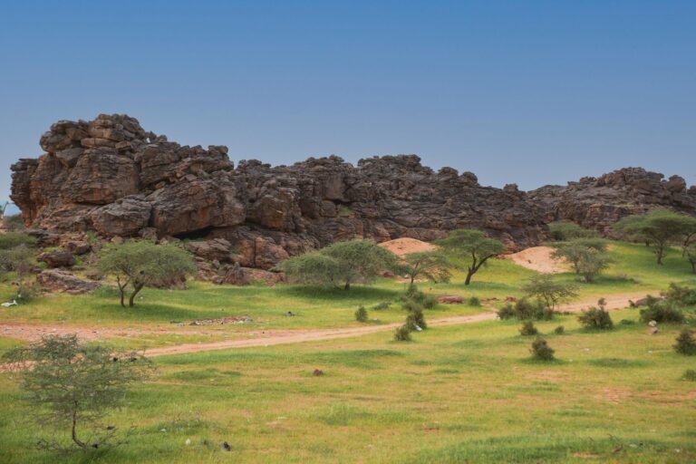 Les principales ressources naturelles du continent africain