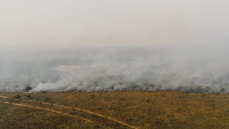 Vue aérienne d'un incendie de forêt se propageant dans une prairie sud-africaine, produisant de la fumée et de la brume.